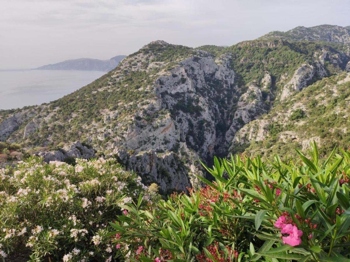 Hotel Turismo Rurale Villa Maria Caterina Cala Gonone Eksteriør bilde