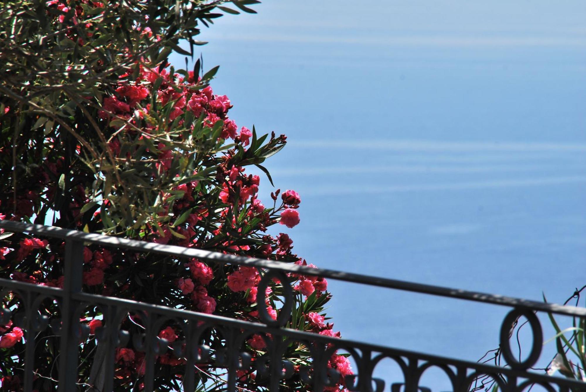 Hotel Turismo Rurale Villa Maria Caterina Cala Gonone Eksteriør bilde